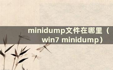 minidump文件在哪里（win7 minidump）